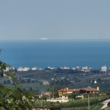 L'oasi Degli Ulivi * Pannaconi