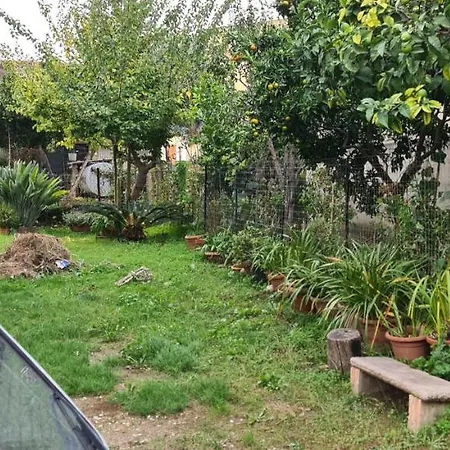 L'oasi Degli Ulivi