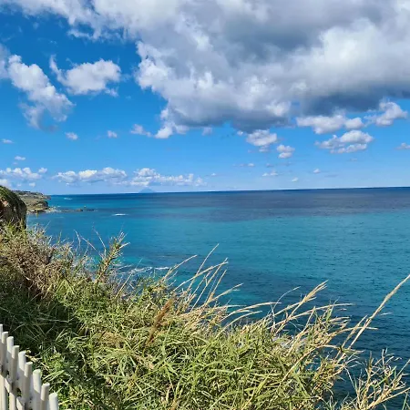 L'oasi Degli Ulivi * Pannaconi