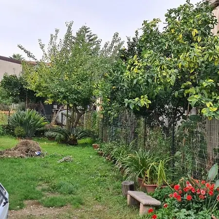 L'oasi Degli Ulivi Appartement *
